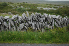 Stone walls built of the limestones of the Burren approx 5km south of Ballyvaughan Co Clare Ireland. Exposures of the Dinantian Burren Limestone Formation are composed of shallow water carbonates. Note the clints (limestone blocks) and grikes (joints formed by Variscan folding (Coller, 1984) and fracturing) enlarged by Pleistocene disolution (Williams, 1966).